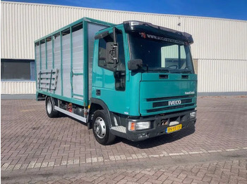 شاحنة بهيكل معدني للمقصورة IVECO EuroCargo