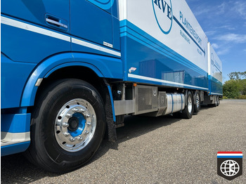 شاحنة ذات مبرد DAF XF 460 FAN TOP CONDITION - TRS ICELAND - 49CC flower combination: صورة 4