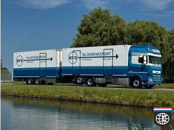شاحنة ذات مبرد DAF XF 460 FAN TOP CONDITION - TRS ICELAND - 49CC flower combination: صورة 2