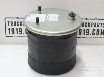 نظام التعليق الهوائي DAF