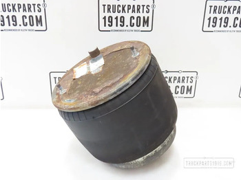 نظام التعليق الهوائي DAF