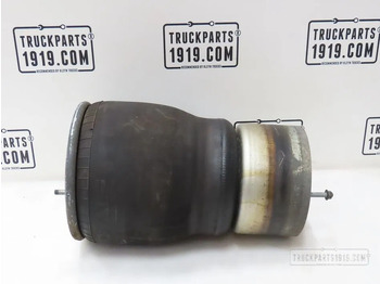 نظام التعليق الهوائي DAF