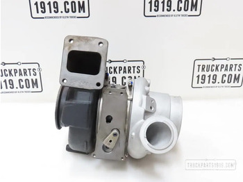 : صورة رأس الصفحة