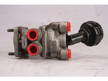 : صورة رأس الصفحة