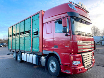 شاحنة ماشية DAF XF 105 460