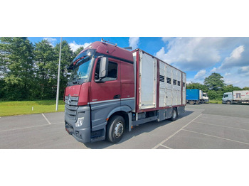 شاحنة ماشية MERCEDES-BENZ Actros 1851