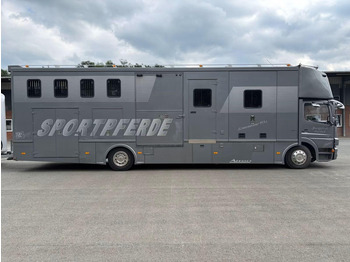شاحنة نقل خيل Mercedes-Benz Atego 1529 - Horse transporter: صورة 3