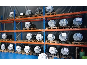 : صورة رأس الصفحة