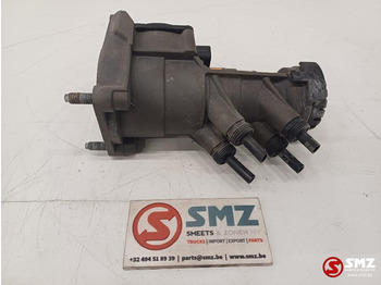 : صورة رأس الصفحة