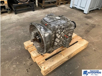 : صورة رأس الصفحة