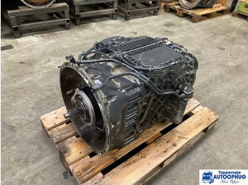 : صورة رأس الصفحة