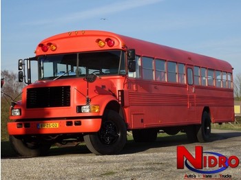 حافلة International BLUE BIRD - SCHOOLBUS - FOODTRUCK: صورة 1
