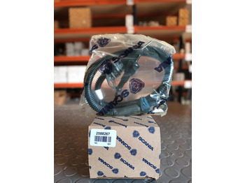 : صورة رأس الصفحة