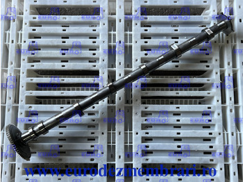 : صورة رأس الصفحة