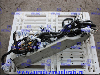 : صورة رأس الصفحة