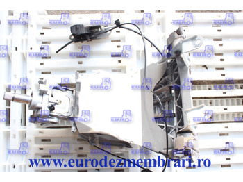 : صورة رأس الصفحة