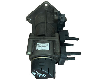 : صورة رأس الصفحة