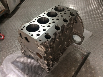 : صورة رأس الصفحة