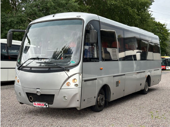 حافلة صغيرة IVECO Rapido