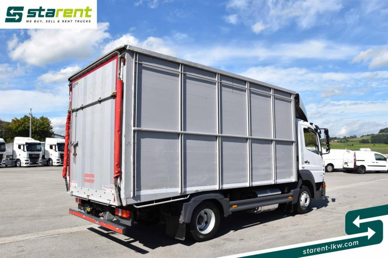 Mercedes Benz 818 Viehtransporter Scheuwimmer Aufbau - شاحنة ماشية: صورة 5 Mercedes Benz 818 Viehtransporter Scheuwimmer Aufbau - شاحنة ماشية: صورة 5