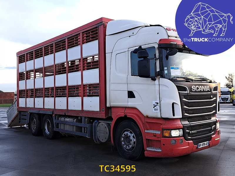 Scania R 500 - شاحنة ماشية: صورة 2 Scania R 500 - شاحنة ماشية: صورة 2