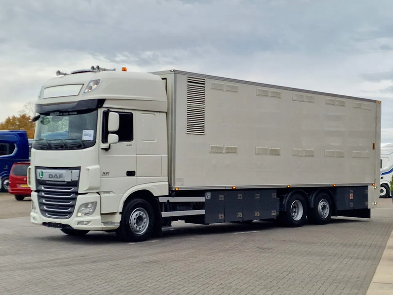 DAF XF 440 SuperSpaceCab 6x2*4 - 2 deck Closed Livestock - 40M2 - Filtersystem - شاحنة ماشية: صورة 3 DAF XF 440 SuperSpaceCab 6x2*4 - 2 deck Closed Livestock - 40M2 - Filtersystem - شاحنة ماشية: صورة 3