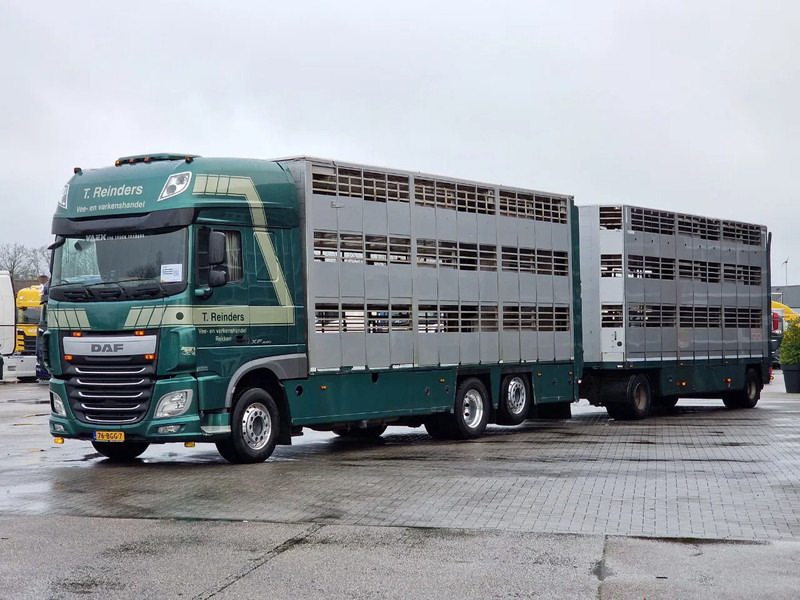 DAF XF 440 SuperSpaceCab 6x2*4 - Cuppers 1-2-3 deck Livestock + Cuppers 3 deck trailer 2009 - شاحنة ماشية: صورة 4 DAF XF 440 SuperSpaceCab 6x2*4 - Cuppers 1-2-3 deck Livestock + Cuppers 3 deck trailer 2009 - شاحنة ماشية: صورة 4