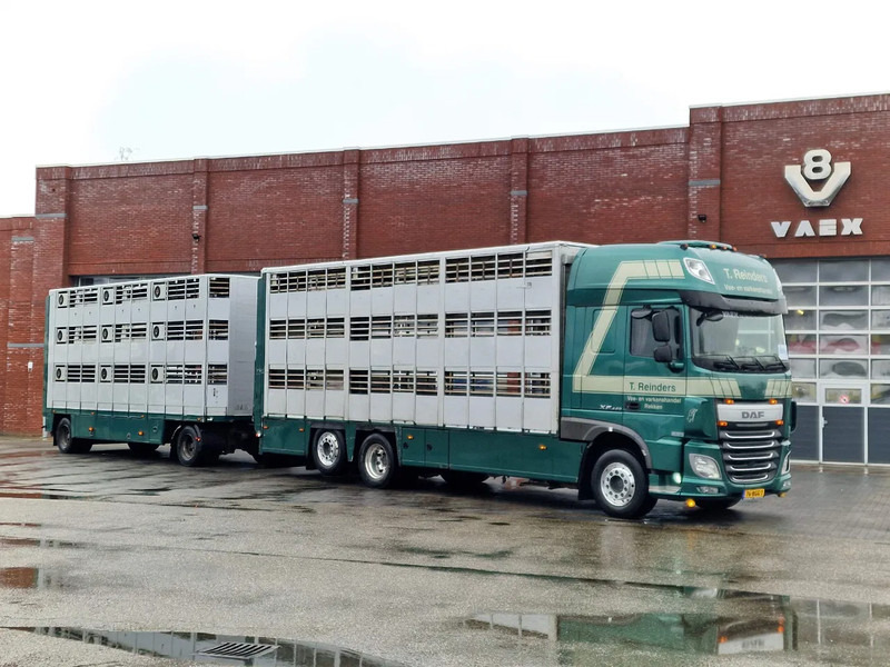 DAF XF 440 SuperSpaceCab 6x2*4 - Cuppers 1-2-3 deck Livestock + Cuppers 3 deck trailer 2009 - شاحنة ماشية: صورة 2 DAF XF 440 SuperSpaceCab 6x2*4 - Cuppers 1-2-3 deck Livestock + Cuppers 3 deck trailer 2009 - شاحنة ماشية: صورة 2