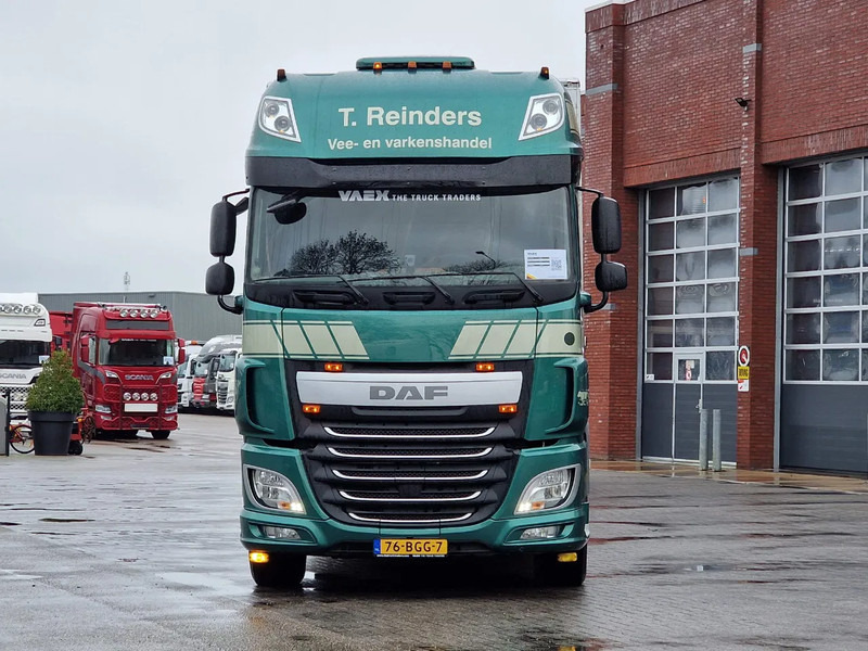 DAF XF 440 SuperSpaceCab 6x2*4 - Cuppers 1-2-3 deck Livestock + Cuppers 3 deck trailer 2009 - شاحنة ماشية: صورة 3 DAF XF 440 SuperSpaceCab 6x2*4 - Cuppers 1-2-3 deck Livestock + Cuppers 3 deck trailer 2009 - شاحنة ماشية: صورة 3