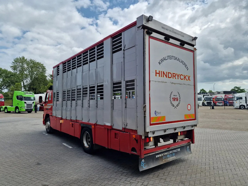 Volvo FM 250 4x- Livestock 2 deck - Lifting floors - Loadlift - Manual gearbox - شاحنة ماشية: صورة 5 Volvo FM 250 4x- Livestock 2 deck - Lifting floors - Loadlift - Manual gearbox - شاحنة ماشية: صورة 5