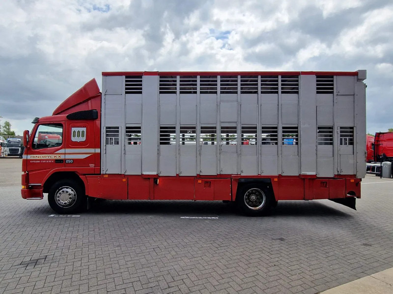 Volvo FM 250 4x- Livestock 2 deck - Lifting floors - Loadlift - Manual gearbox - شاحنة ماشية: صورة 4 Volvo FM 250 4x- Livestock 2 deck - Lifting floors - Loadlift - Manual gearbox - شاحنة ماشية: صورة 4