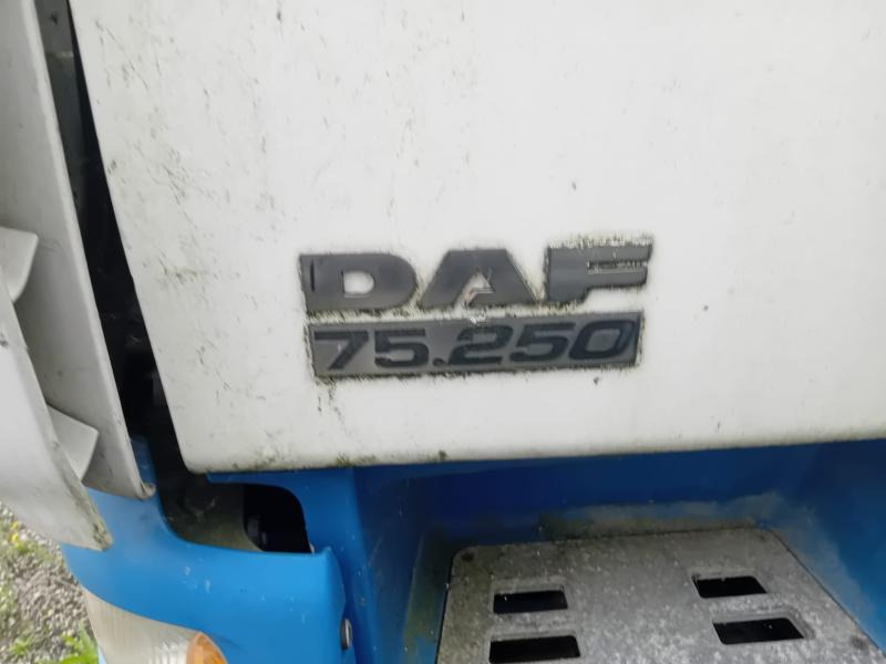 DAF CF 75.250 - شاحنة صندوقية: صورة 2 DAF CF 75.250 - شاحنة صندوقية: صورة 2