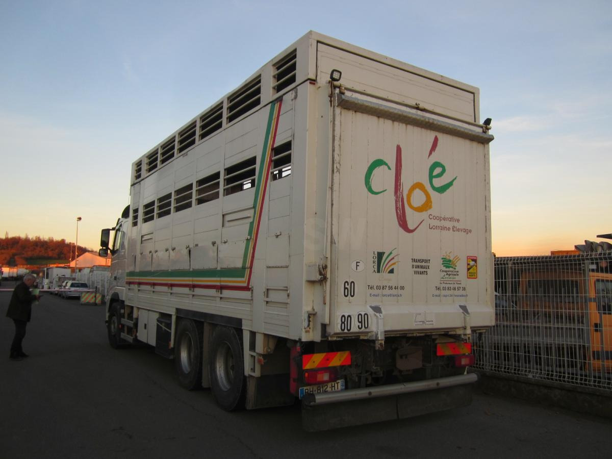 Volvo FH 460 - شاحنة ماشية: صورة 5 Volvo FH 460 - شاحنة ماشية: صورة 5