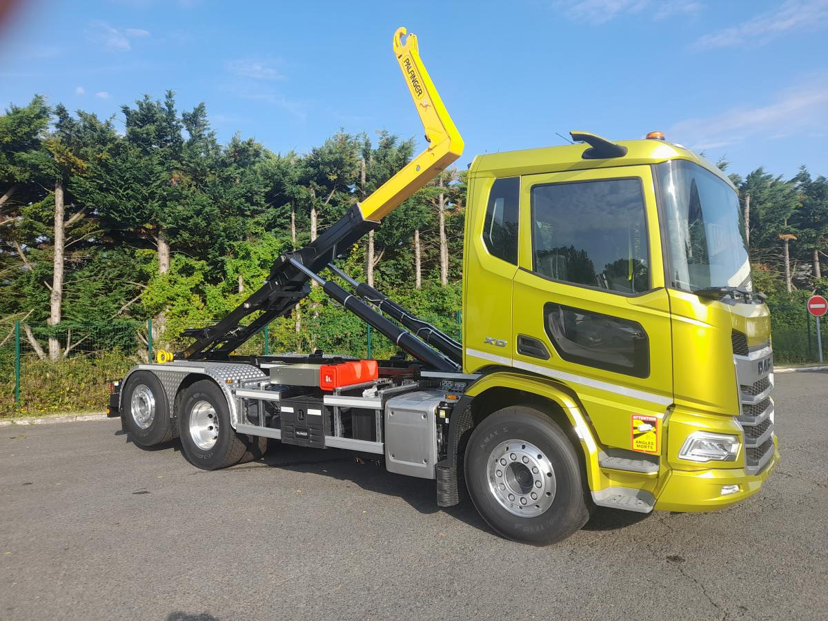 DAF XD 450 FAN - شاحنة برافعة خطافية: صورة 3 DAF XD 450 FAN - شاحنة برافعة خطافية: صورة 3