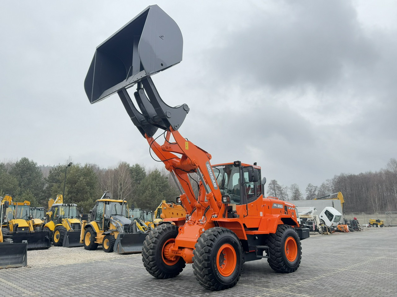 Doosan DL250 14,5Ton Łyżka Wysokiego Wysypu !!! - اللودر بعجل: صورة 1 Doosan DL250 14,5Ton Łyżka Wysokiego Wysypu !!! - اللودر بعجل: صورة 1
