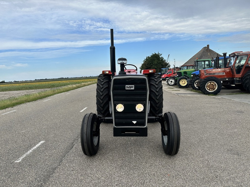 Massey Ferguson 290 - جرار: صورة 2 Massey Ferguson 290 - جرار: صورة 2