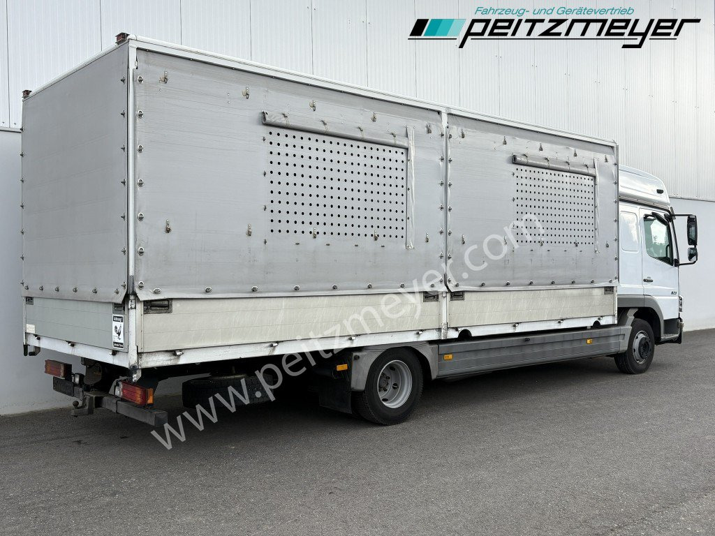 MERCEDES-BENZ Atego 823 L Geflügelpritsche L - Fahrerhaus, Klima, 2 x AHK - شاحنة صندوقية: صورة 5 MERCEDES-BENZ Atego 823 L Geflügelpritsche L - Fahrerhaus, Klima, 2 x AHK - شاحنة صندوقية: صورة 5