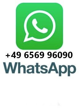 Fuchs MHL 331 - حفار ذو عجلات: صورة 2 Fuchs MHL 331 - حفار ذو عجلات: صورة 2