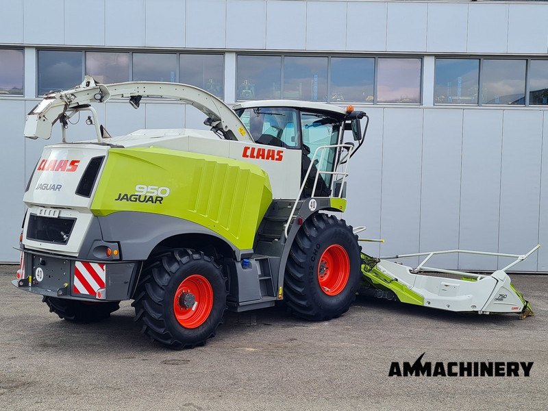 Claas Jaguar 950 4WD - حصادة الأعلاف: صورة 5 Claas Jaguar 950 4WD - حصادة الأعلاف: صورة 5