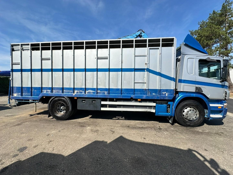 Scania P310 4x2 LIVESTOCK / VEEWAGEN / TIERTRANSPORT / BETAILLERE - ALU BOX 7m - MANUAL - A/C - BELGIAN TRUCK - شاحنة ماشية: صورة 4 Scania P310 4x2 LIVESTOCK / VEEWAGEN / TIERTRANSPORT / BETAILLERE - ALU BOX 7m - MANUAL - A/C - BELGIAN TRUCK - شاحنة ماشية: صورة 4