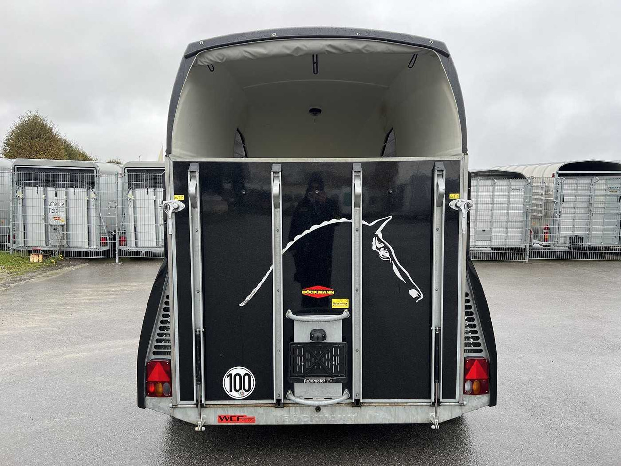 BOECKMANN Big Master WCF anthrazit Pferdeanhänger - عربة نقل خيل: صورة 4 BOECKMANN Big Master WCF anthrazit Pferdeanhänger - عربة نقل خيل: صورة 4