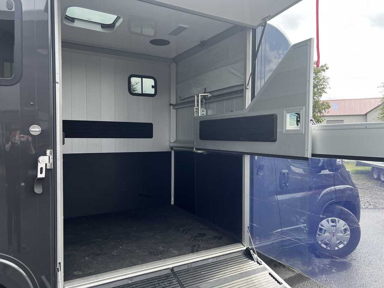 شاحنة نقل خيل Fiat Böckmann Compact Basic LKW: صورة 20