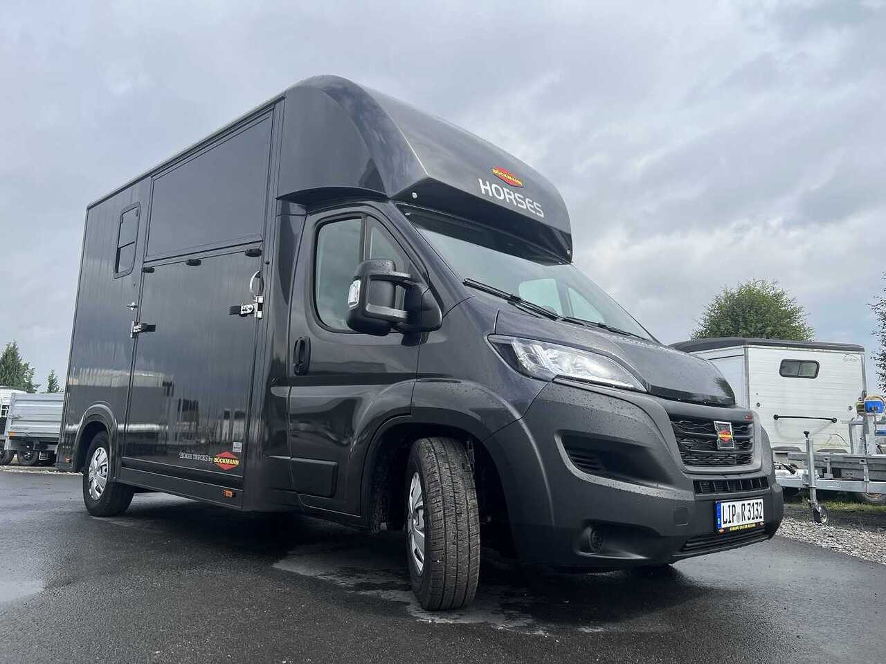 شاحنة نقل خيل Fiat Böckmann Compact Basic LKW: صورة 10