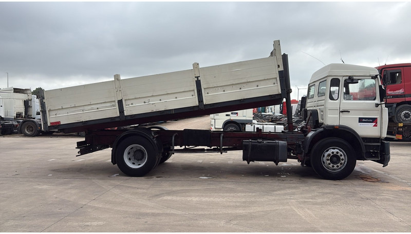 Renault G 230 Manager (POMPE MANUELLE / LAMES / STEEL SUSP. / MANUAL PUMP) - شاحنة قلاب: صورة 3 Renault G 230 Manager (POMPE MANUELLE / LAMES / STEEL SUSP. / MANUAL PUMP) - شاحنة قلاب: صورة 3