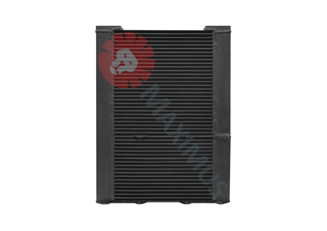 DEUTZ SILNIK BF 6M1013CP - مشعاع - آلات الإنشاء: صورة 1 DEUTZ SILNIK BF 6M1013CP - مشعاع - آلات الإنشاء: صورة 1
