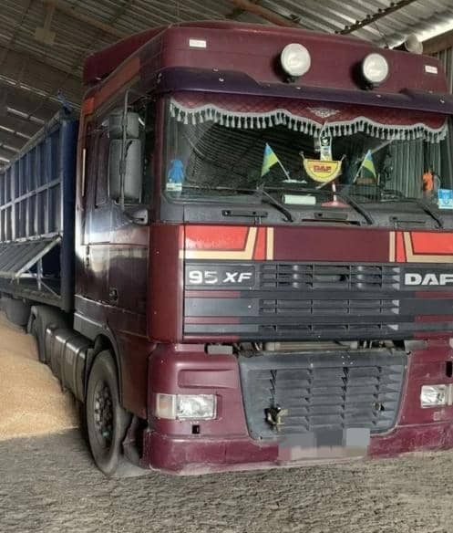 DAF XF 95 - مقطورة السحب: صورة 5 DAF XF 95 - مقطورة السحب: صورة 5