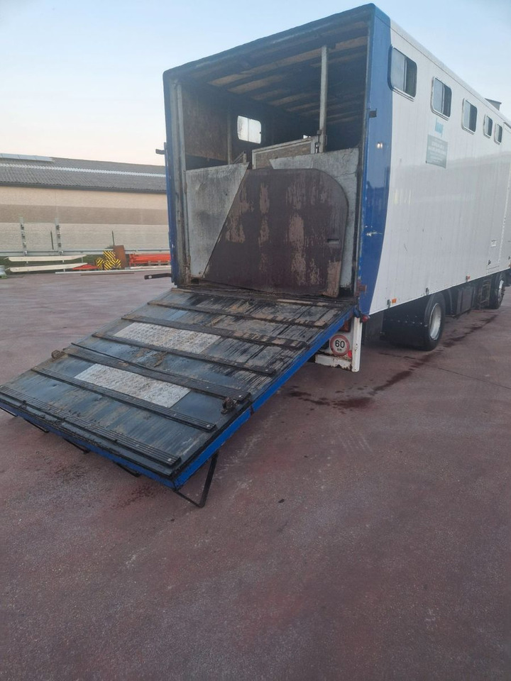 Renault MIDLINER M KOFFER LADEBORDWAND HELLO AFRIKA - شاحنة صندوقية: صورة 4 Renault MIDLINER M KOFFER LADEBORDWAND HELLO AFRIKA - شاحنة صندوقية: صورة 4