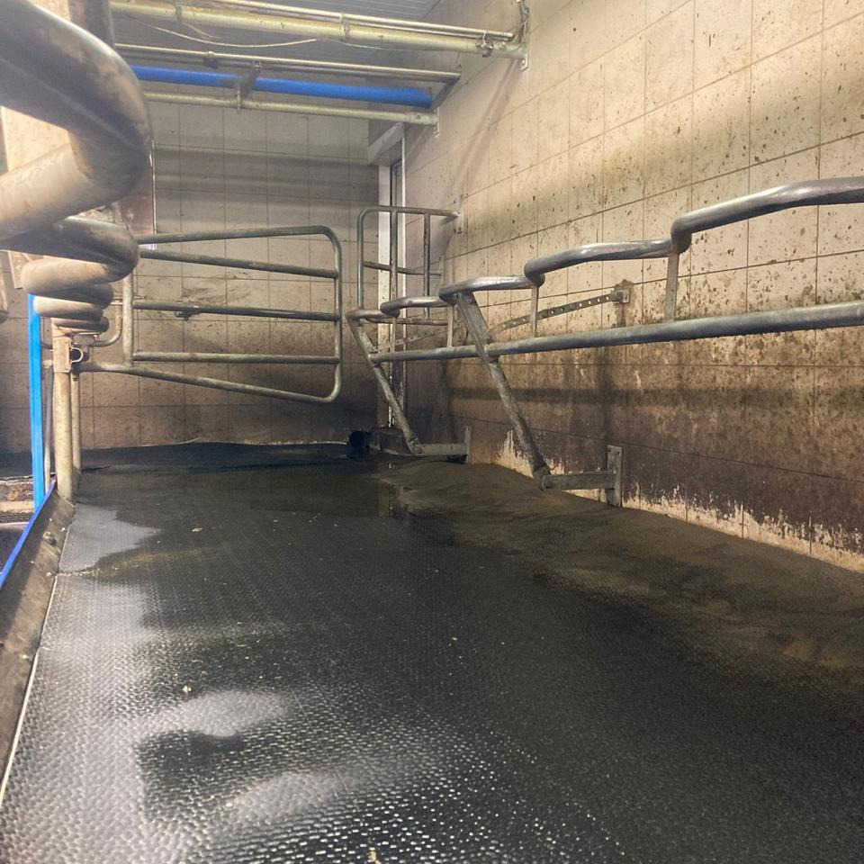 DeLaval Fischgrätenmelkstand Doppel 10er - آلات الحلب: صورة 2 DeLaval Fischgrätenmelkstand Doppel 10er - آلات الحلب: صورة 2