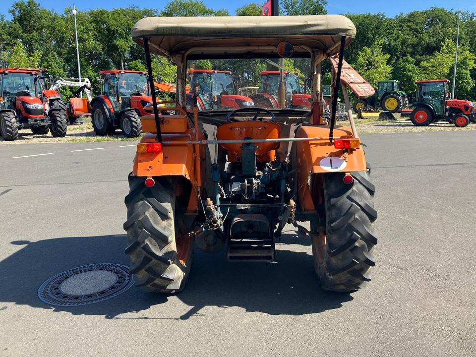 Traktor Fiat 315 Oldtimer mit Mähwerk Baujahr 1968 - جرار: صورة 3 Traktor Fiat 315 Oldtimer mit Mähwerk Baujahr 1968 - جرار: صورة 3