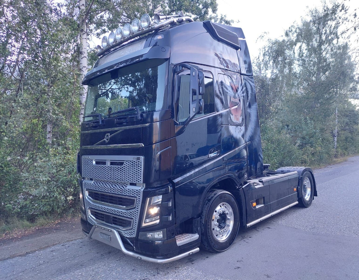 Volvo FH16-650 4x2, Euro 6, VEB, airbrush - مقطورة السحب: صورة 1 Volvo FH16-650 4x2, Euro 6, VEB, airbrush - مقطورة السحب: صورة 1